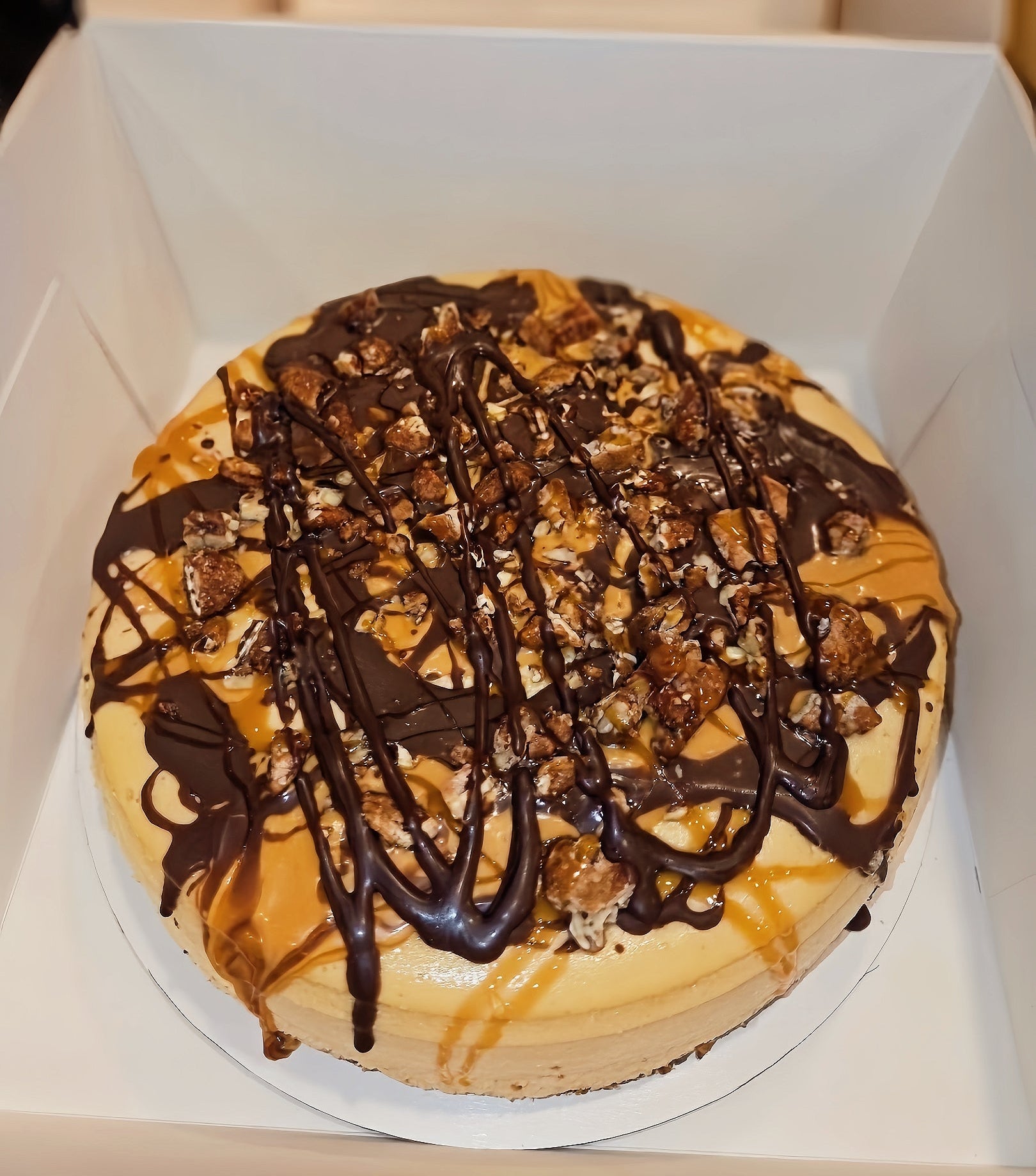 Turtle Cheesecake 9
